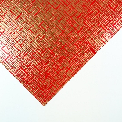 邵 z 